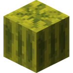 Minecraft melon